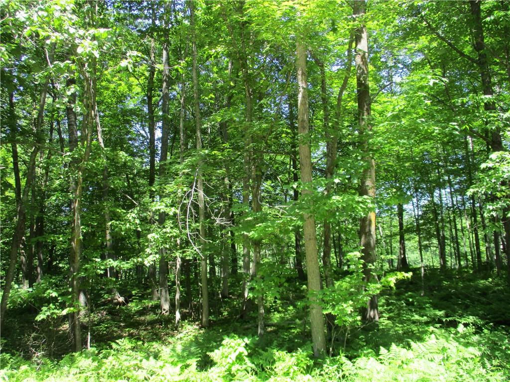 LOT #84 MAPLE Way Birchwood WI 54817 - Bass Lake 1573975 image1