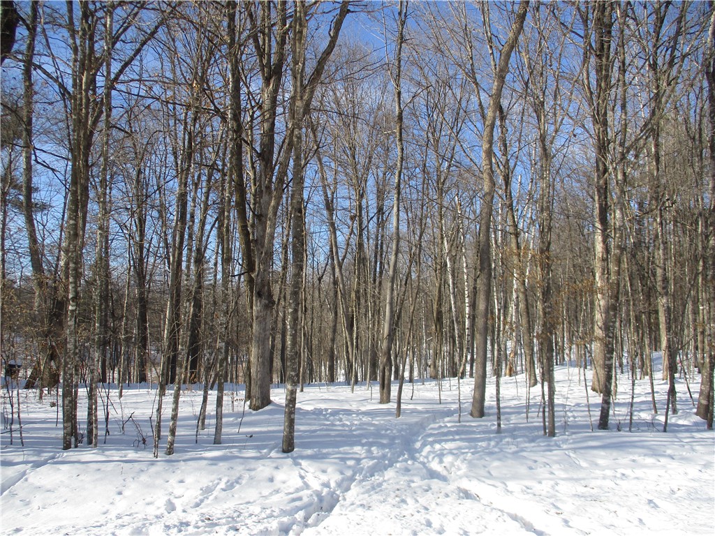 LOT #87 Maple Way Birchwood WI 54817 - Red Cedar 1588968 image1