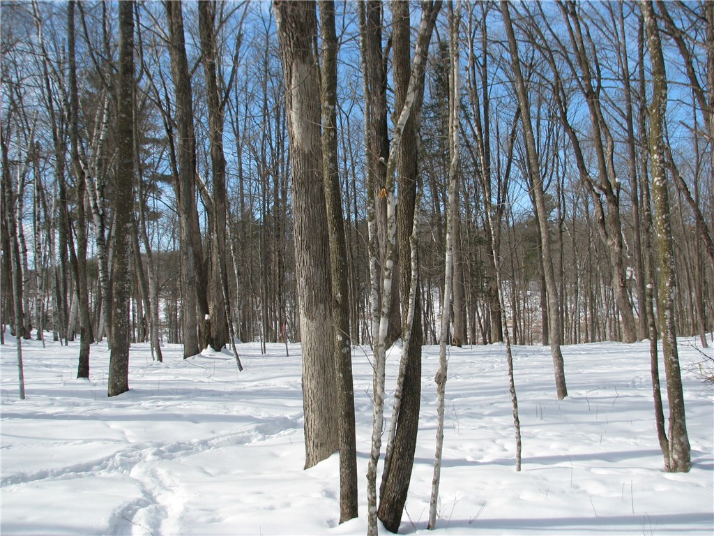 LOT #87 Maple Way Birchwood WI 54817 - Red Cedar 1588968 image2
