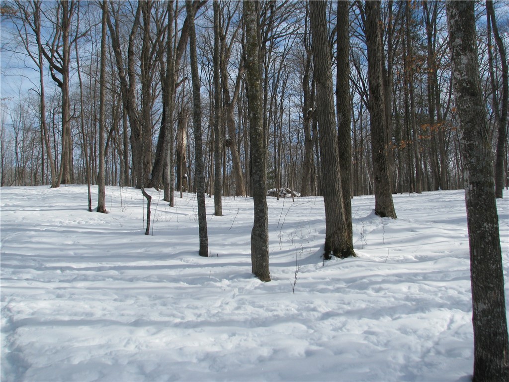 LOT #87 Maple Way Birchwood WI 54817 - Red Cedar 1588968 image4