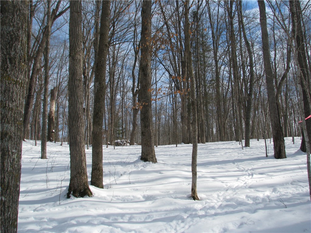LOT #87 Maple Way Birchwood WI 54817 - Red Cedar 1588968 image5