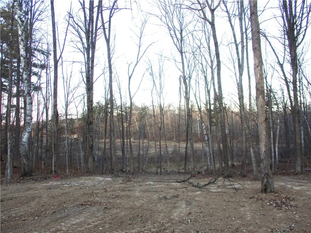 LOT #88 Maple Way Birchwood WI 54817 - Red Cedar 1588969 image3