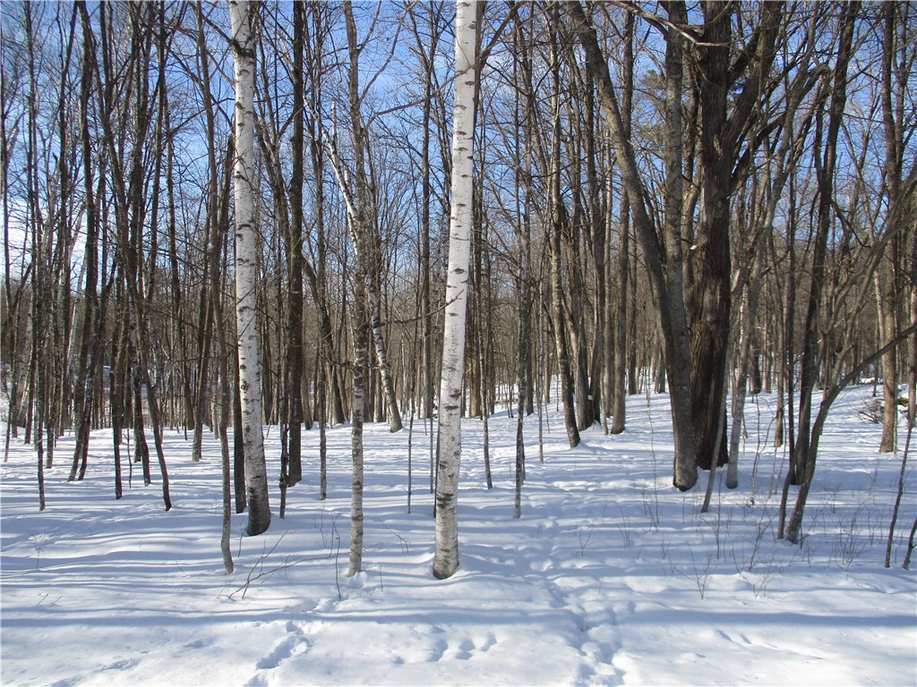 LOT #88 Maple Way Birchwood WI 54817 - Red Cedar 1588969 image4