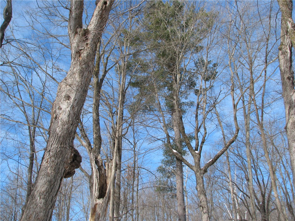 LOT #88 Maple Way Birchwood WI 54817 - Red Cedar 1588969 image5