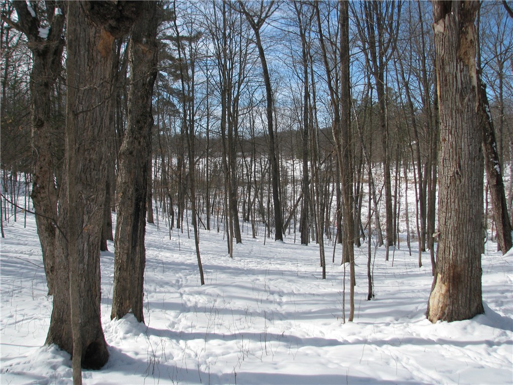 LOT #88 Maple Way Birchwood WI 54817 - Red Cedar 1588969 image6