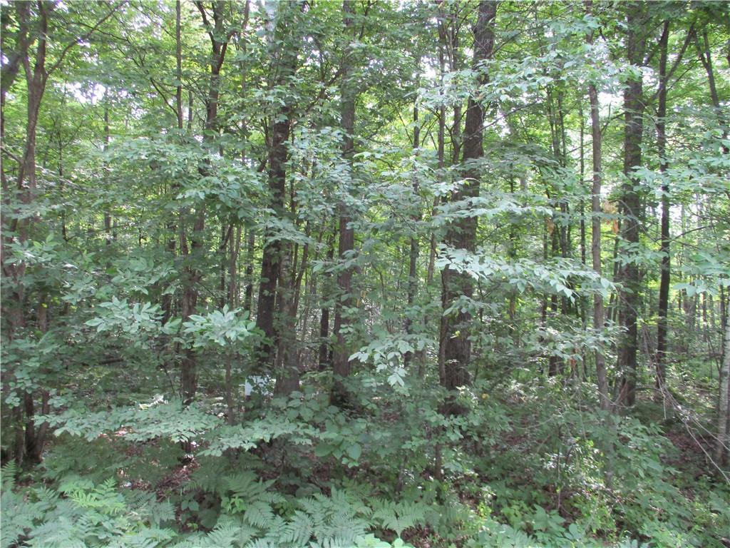 LOT #9 KIRKWALL Drive Birchwood WI 54817 - Red Cedar 1566559 image1
