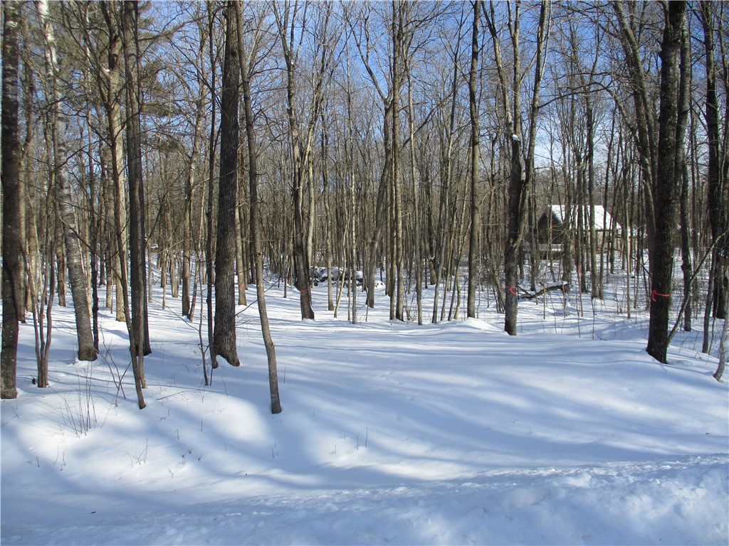 LOT #9 Kirkwall Drive Birchwood WI 54817 - Red Cedar 1588961 image1