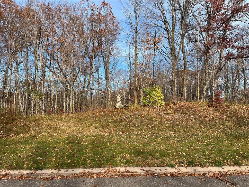 LOT 9 Wilderness Hills Lane Luck WI 54853 1572479 image1