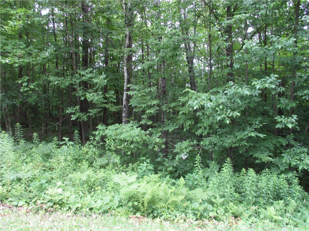 LOT #99 Woods Avenue Birchwood WI 54817 - Red Cedar 1593678 image1
