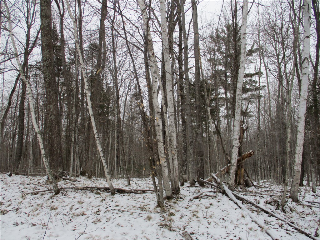 LOTS #11AND #12 INDEPENDENCE Birchwood WI 54817 - Red Cedar 1571803 image1