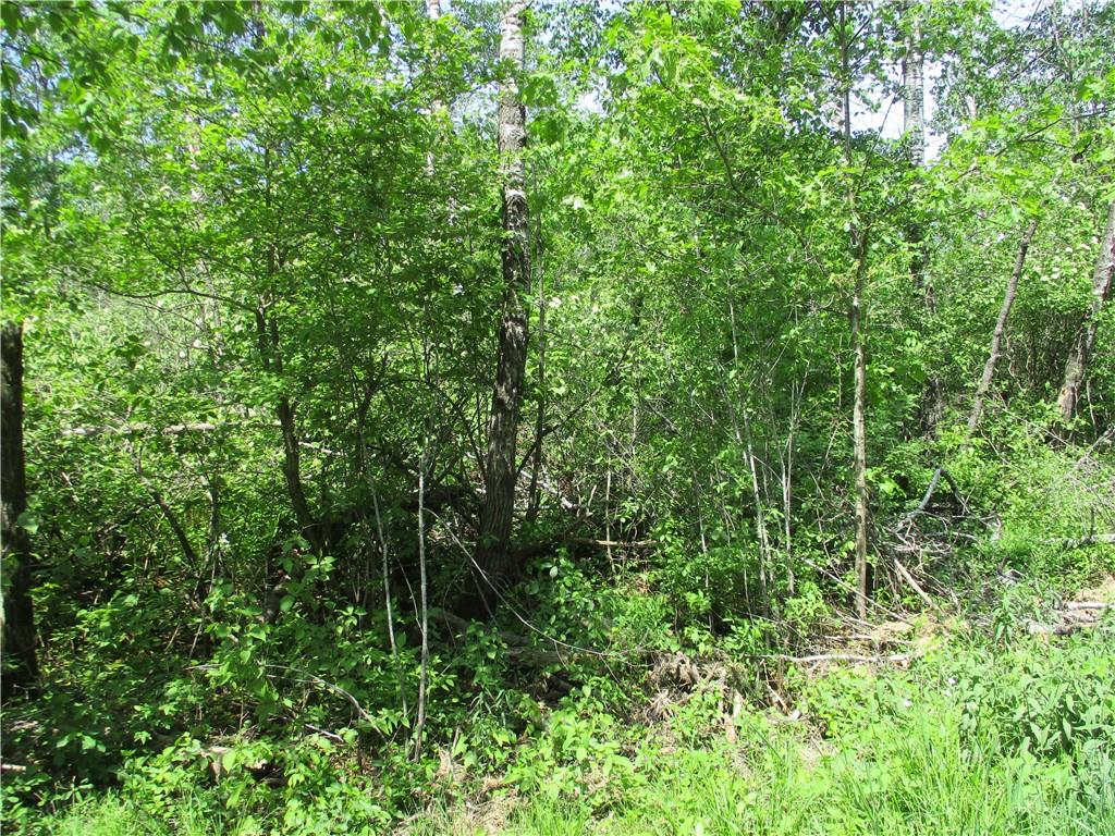LOTS 18 AND 19 Eden Avenue Birchwood WI 54817 - Red Cedar 1581481 image1