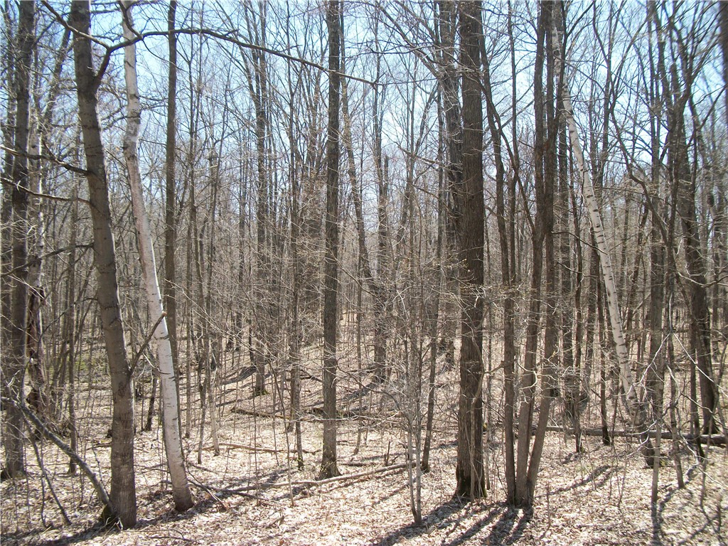 LOTS 26 & 29 Loch Lomond Boulevard Birchwood WI 54817 - Red Cedar 1580678 image2