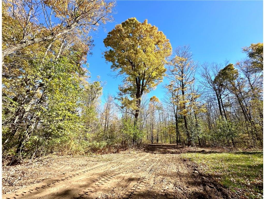 Lake Lot 1 Lakeview Ln. Exeland WI 54835 - Deer Lake 1596417 image1