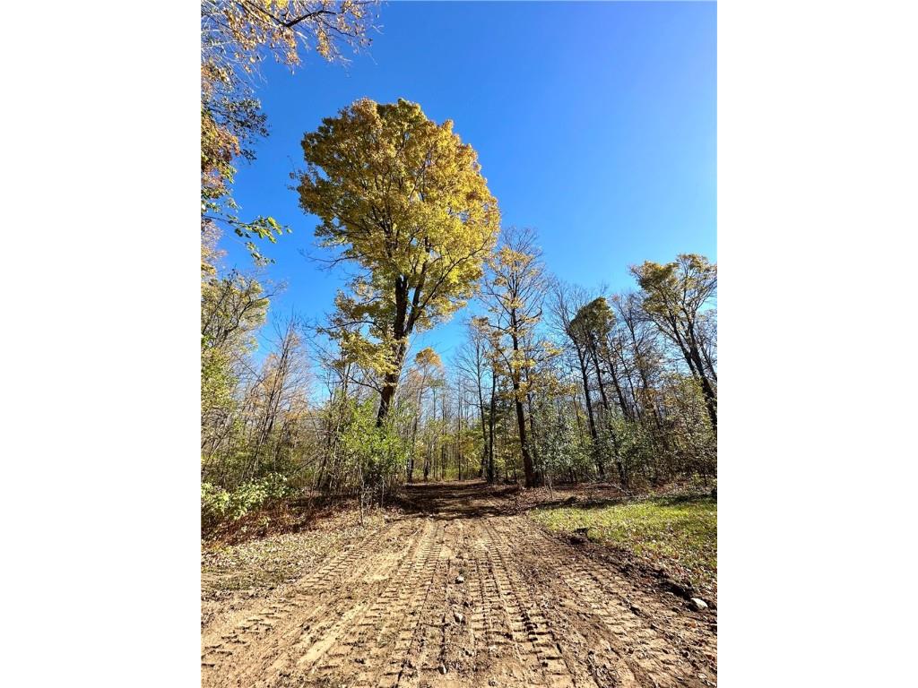 Lake Lot 1 Lakeview Ln. Exeland WI 54835 - Deer Lake 1596417 image10