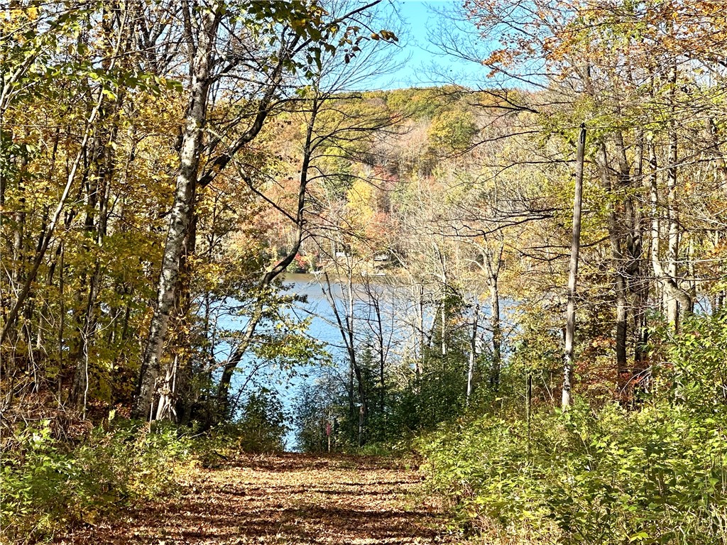 Lake Lot 1 Lakeview Ln. Exeland WI 54835 - Deer Lake 1596417 image11