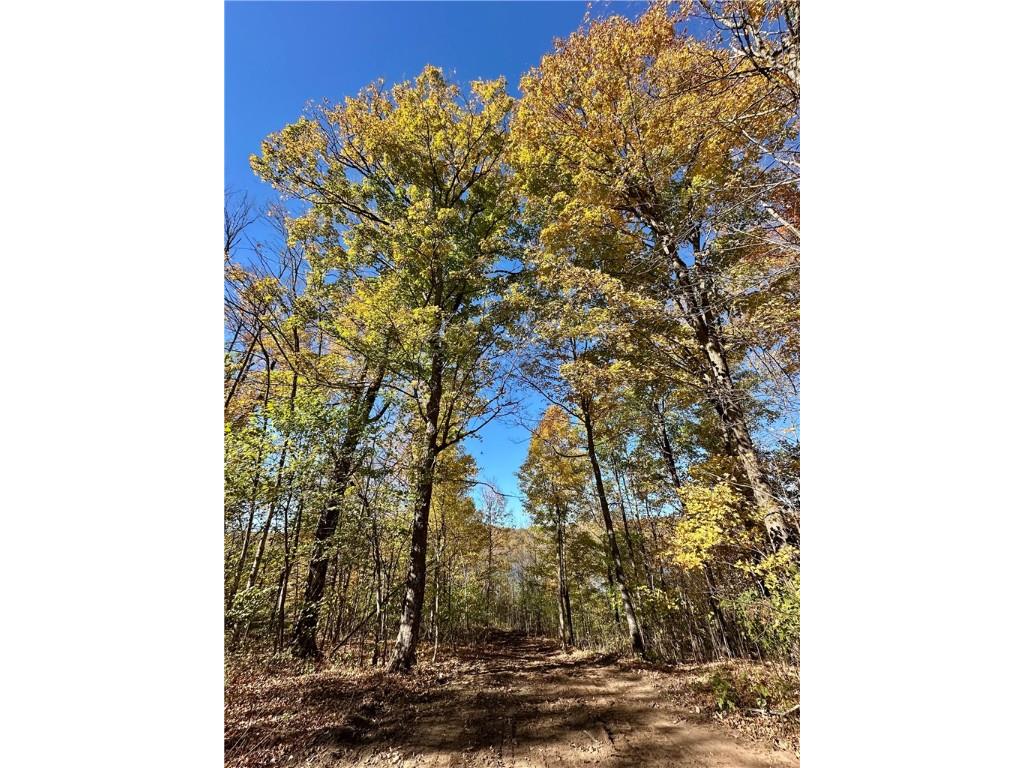 Lake Lot 1 Lakeview Ln. Exeland WI 54835 - Deer Lake 1596417 image12