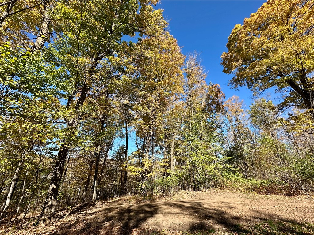 Lake Lot 1 Lakeview Ln. Exeland WI 54835 - Deer Lake 1596417 image13