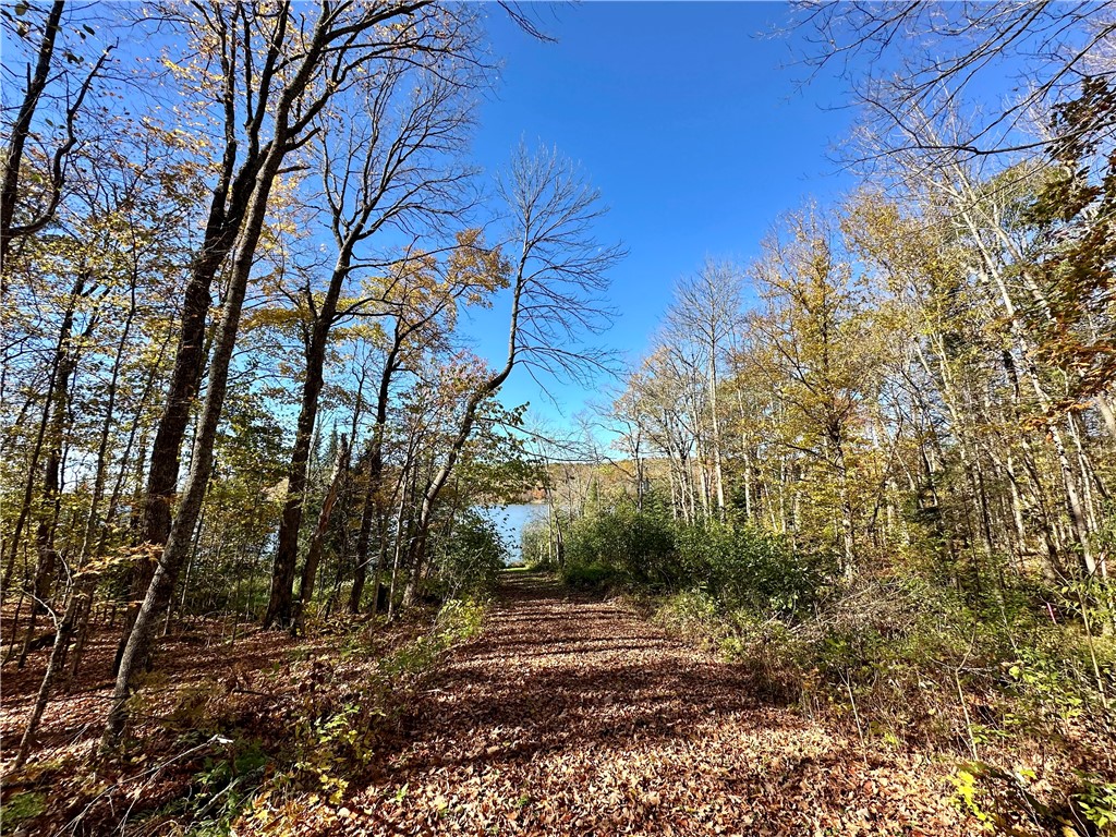Lake Lot 1 Lakeview Ln. Exeland WI 54835 - Deer Lake 1596417 image14