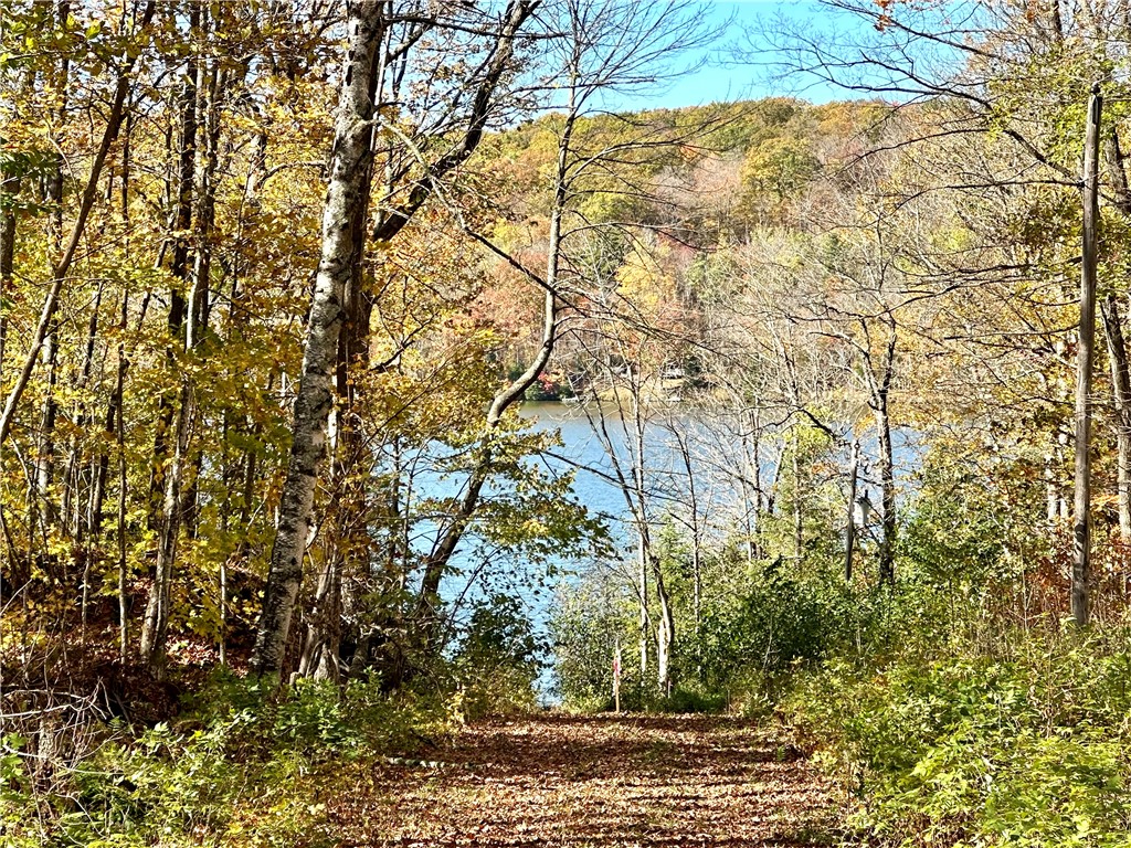Lake Lot 1 Lakeview Ln. Exeland WI 54835 - Deer Lake 1596417 image15