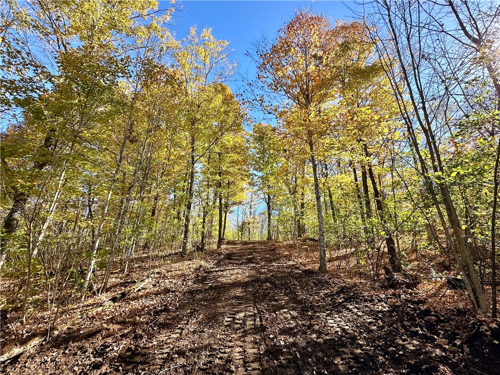 Lake Lot 1 Lakeview Ln. Exeland WI 54835 - Deer Lake 1596417 image16