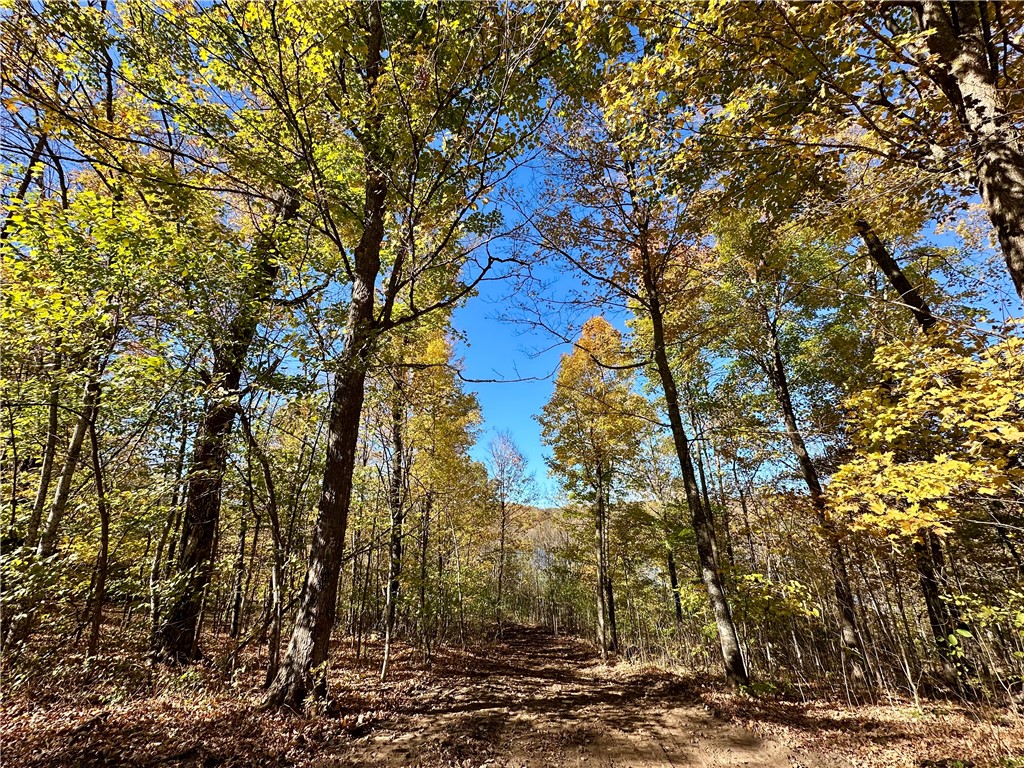 Lake Lot 1 Lakeview Ln. Exeland WI 54835 - Deer Lake 1596417 image17