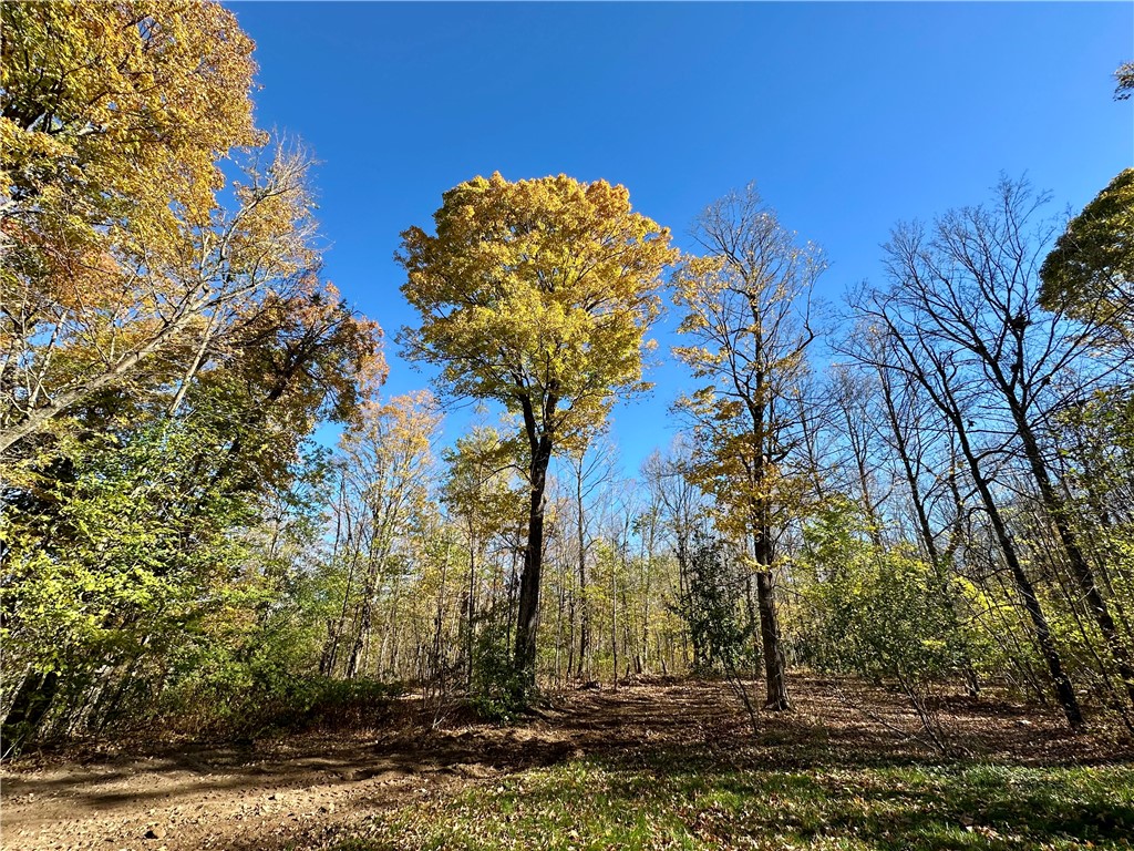 Lake Lot 1 Lakeview Ln. Exeland WI 54835 - Deer Lake 1596417 image18