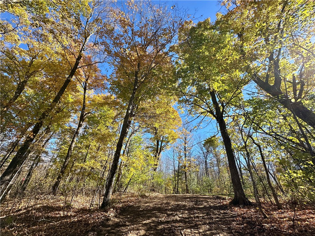 Lake Lot 1 Lakeview Ln. Exeland WI 54835 - Deer Lake 1596417 image20