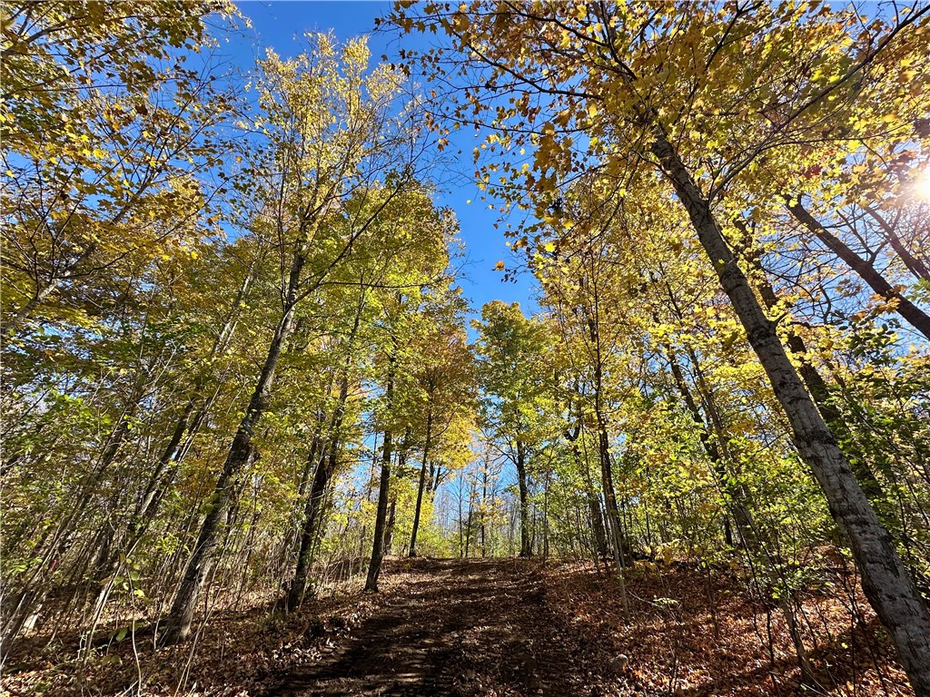 Lake Lot 1 Lakeview Ln. Exeland WI 54835 - Deer Lake 1596417 image22