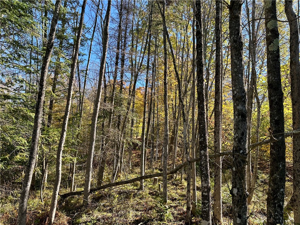 Lake Lot 1 Lakeview Ln. Exeland WI 54835 - Deer Lake 1596417 image24