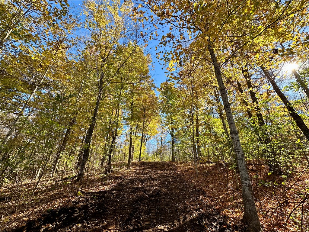 Lake Lot 1 Lakeview Ln. Exeland WI 54835 - Deer Lake 1596417 image4