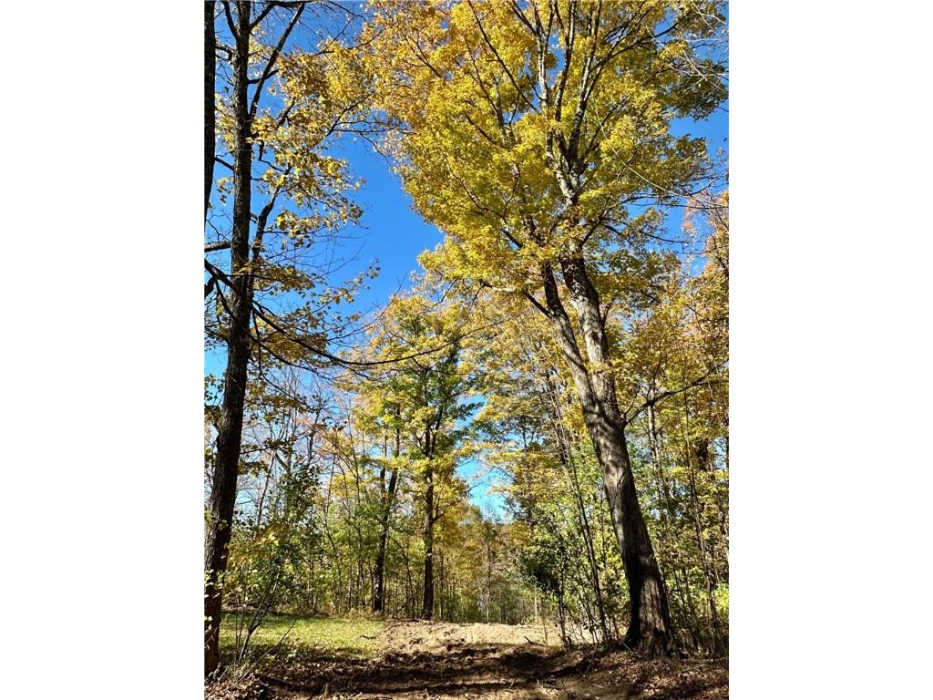 Lake Lot 1 Lakeview Ln. Exeland WI 54835 - Deer Lake 1596417 image6