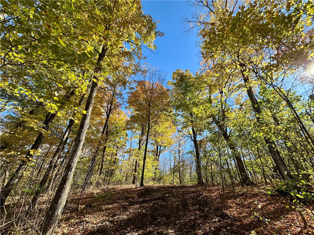 Lake Lot 1 Lakeview Ln. Exeland WI 54835 - Deer Lake 1596417 image7