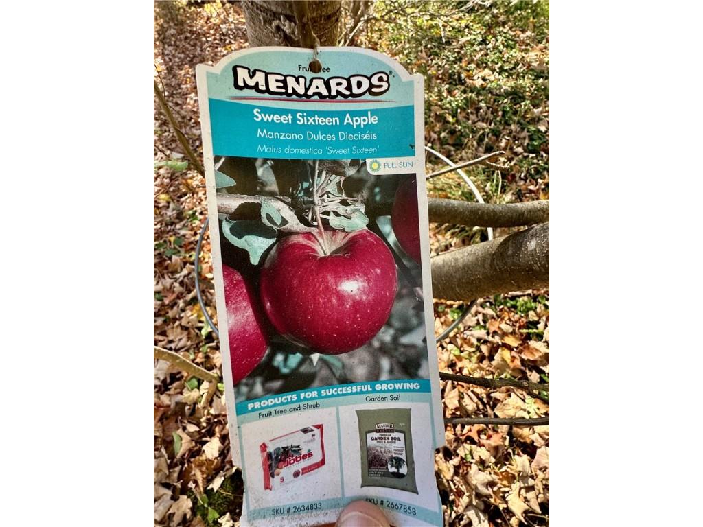 Lake Lot 1 Lakeview Ln. Exeland WI 54835 - Deer Lake 1596417 image8