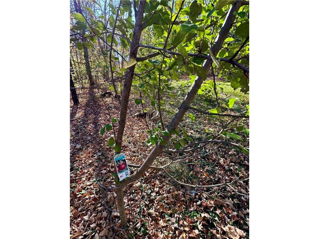 Lake Lot 1 Lakeview Ln. Exeland WI 54835 - Deer Lake 1596417 image9