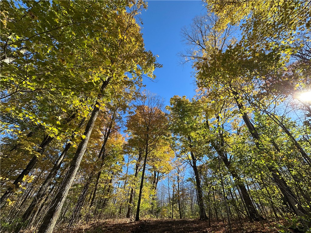 Lake Lot 7(3.73 Acres) Deer Lake Road Exeland WI 54835 - Deer Lake 1598940 image10
