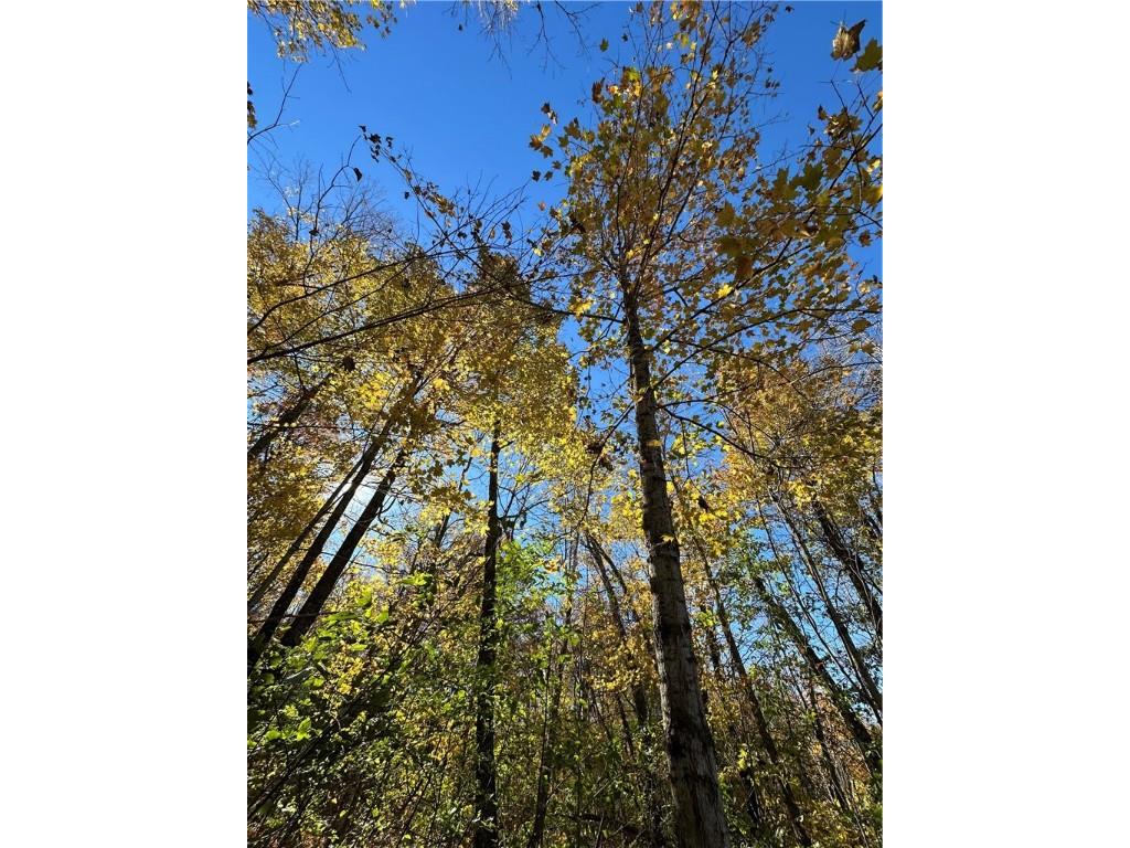 Lake Lot 7(3.73 Acres) Deer Lake Road Exeland WI 54835 - Deer Lake 1598940 image6
