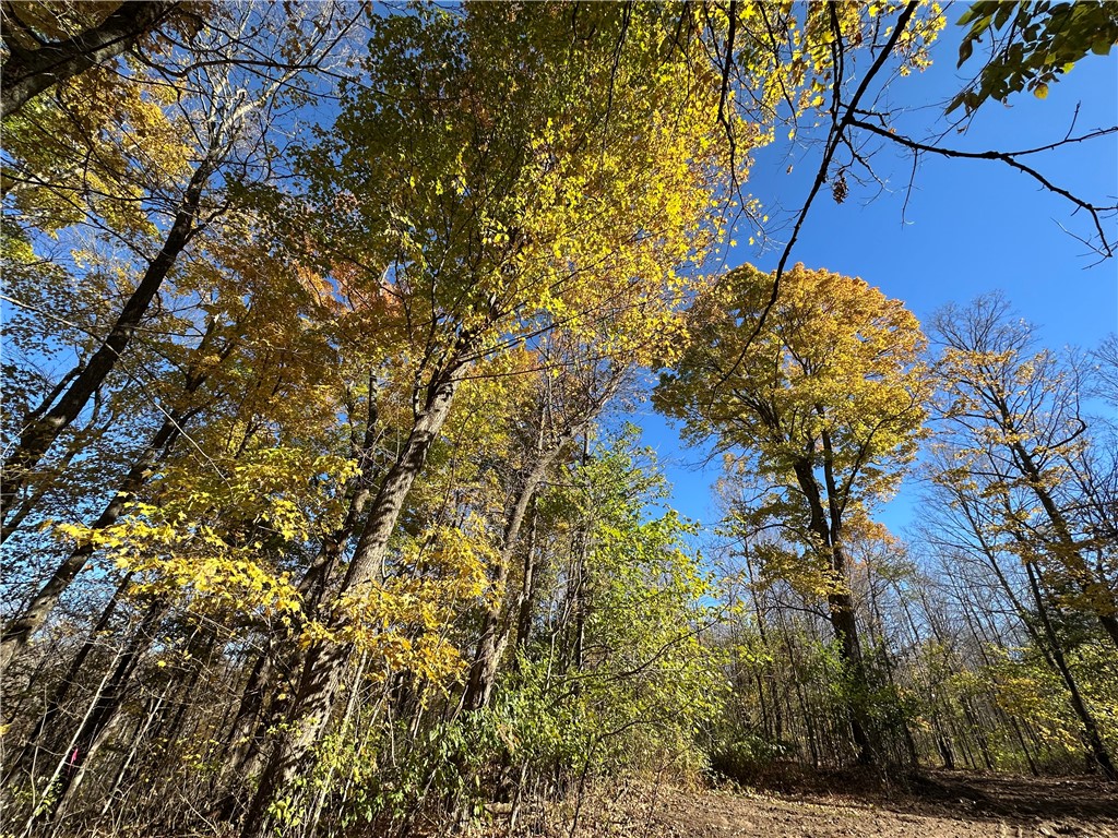 Lake Lot 7(3.73 Acres) Deer Lake Road Exeland WI 54835 - Deer Lake 1598940 image8