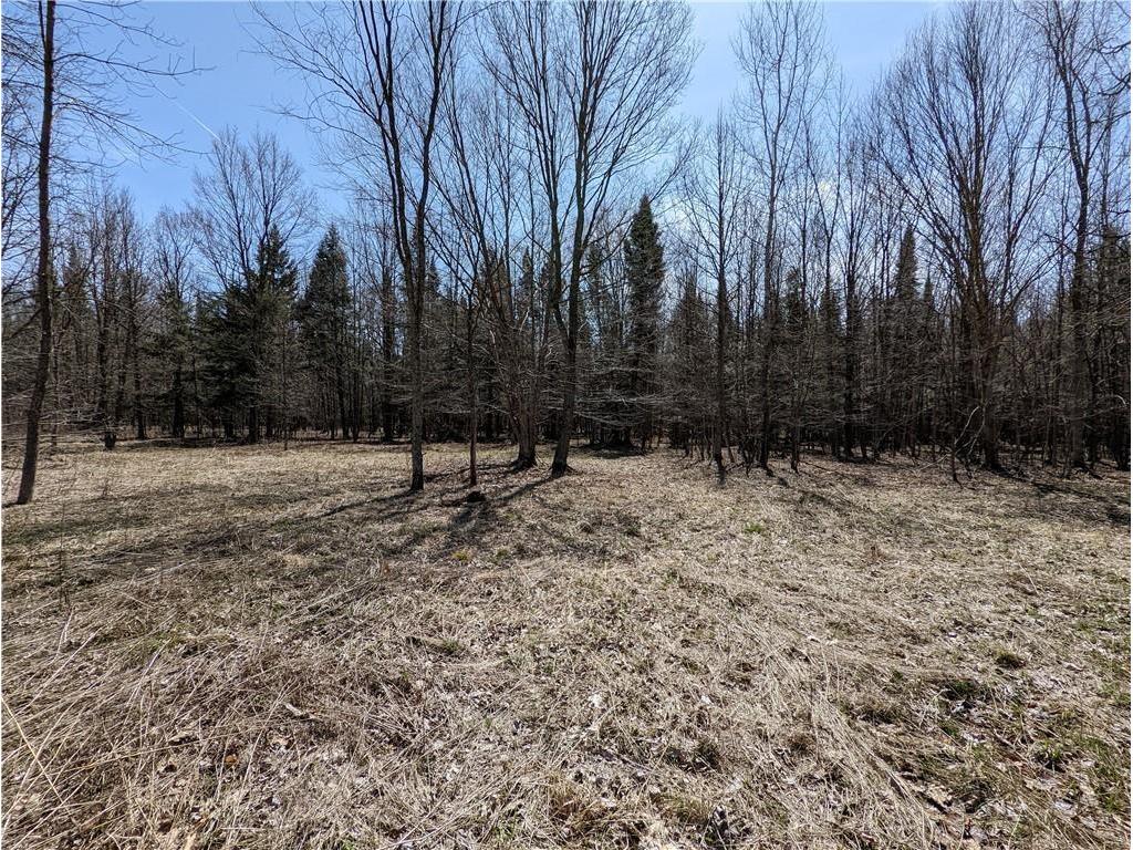 Lot 0 County Hwy W Holcombe WI 54745 1567804 image1