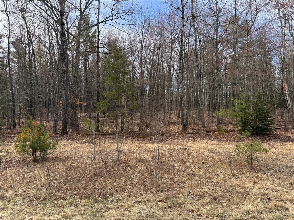 Lot 0 Highway 77 Hayward WI 54843 1581447 image1