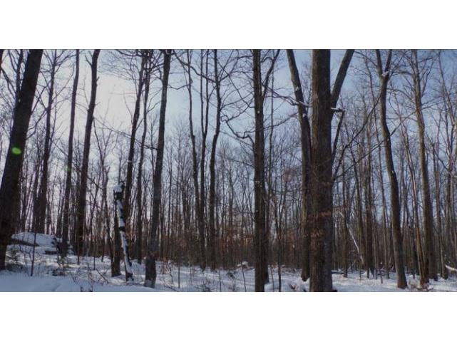 Lot 0 Mueller Avenue Hayward WI 54843 1570580 image1