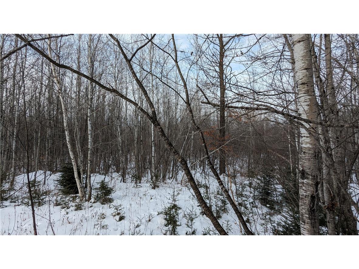 Lot 0 N County Highway W Winter WI 54896 1588452 image10