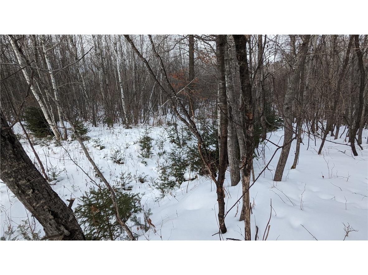 Lot 0 N County Highway W Winter WI 54896 1588452 image11