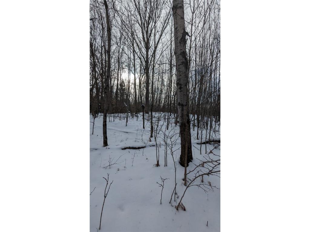 Lot 0 N County Highway W Winter WI 54896 1588452 image12