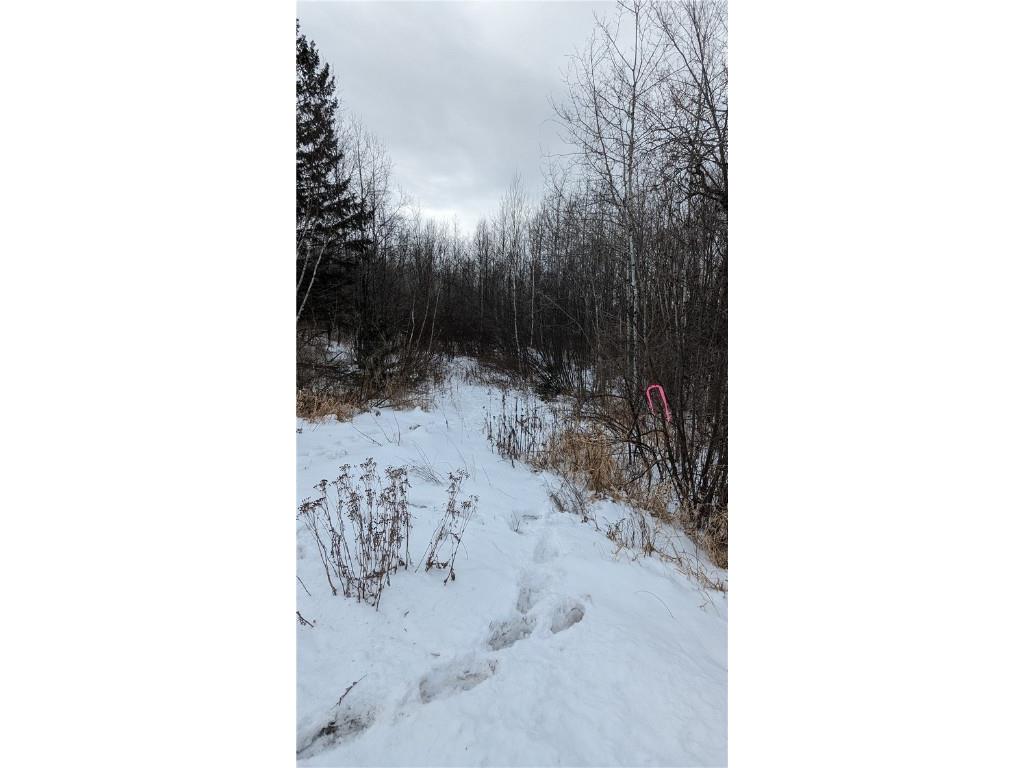 Lot 0 N County Highway W Winter WI 54896 1588452 image17