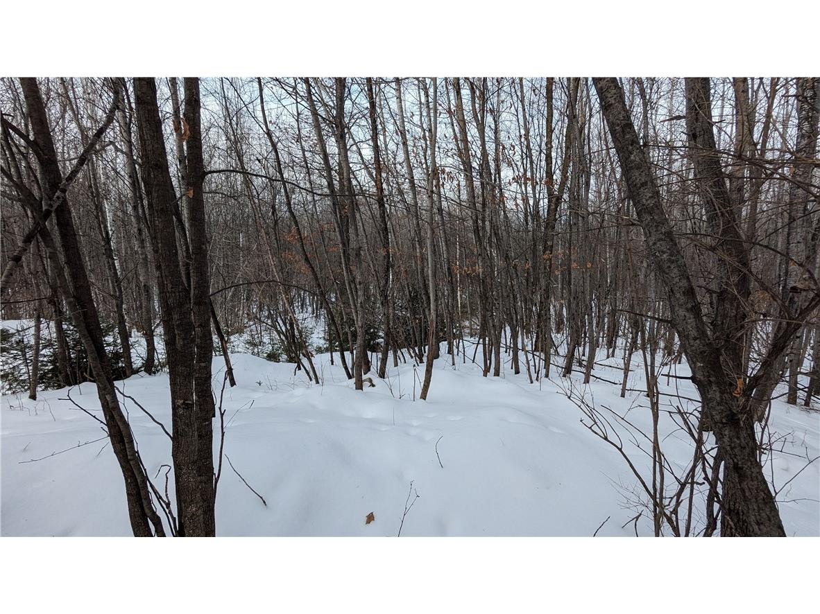 Lot 0 N County Highway W Winter WI 54896 1588452 image5