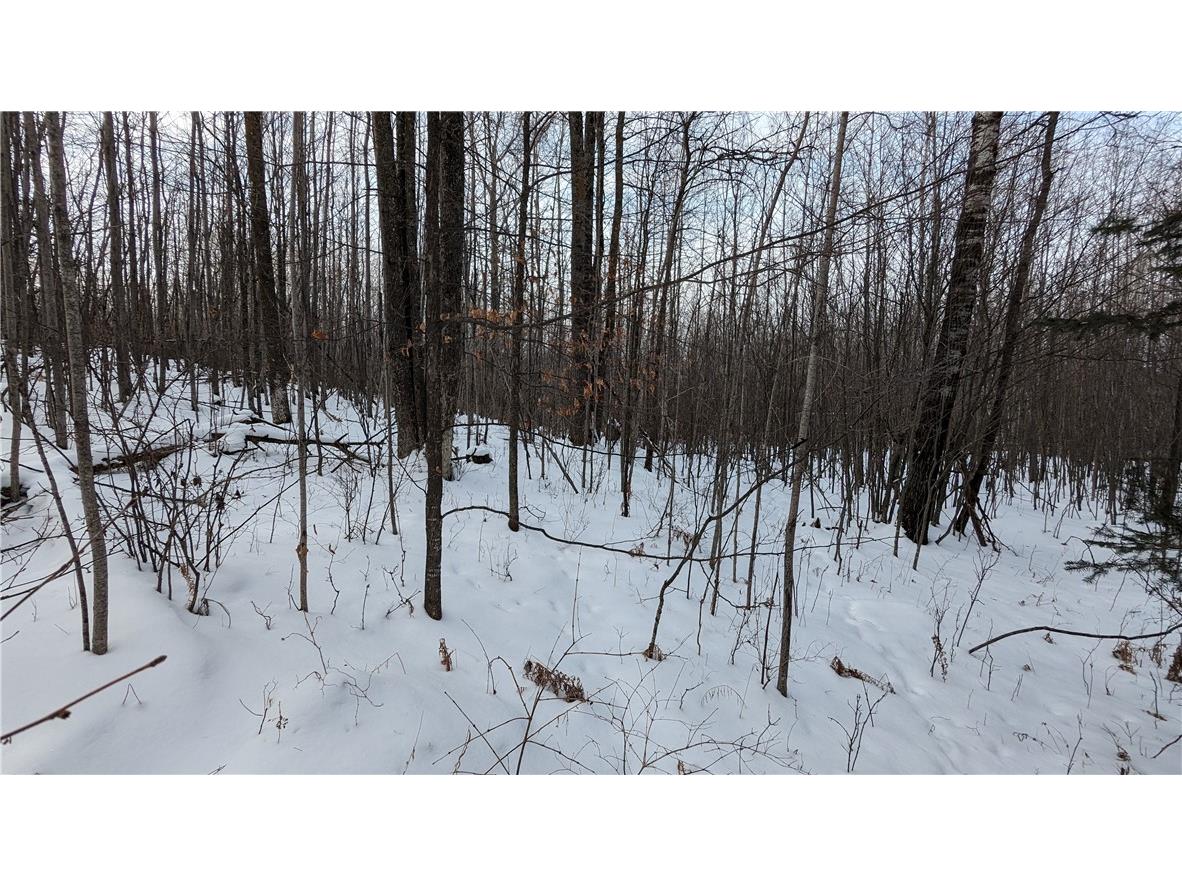 Lot 0 N County Highway W Winter WI 54896 1588452 image6
