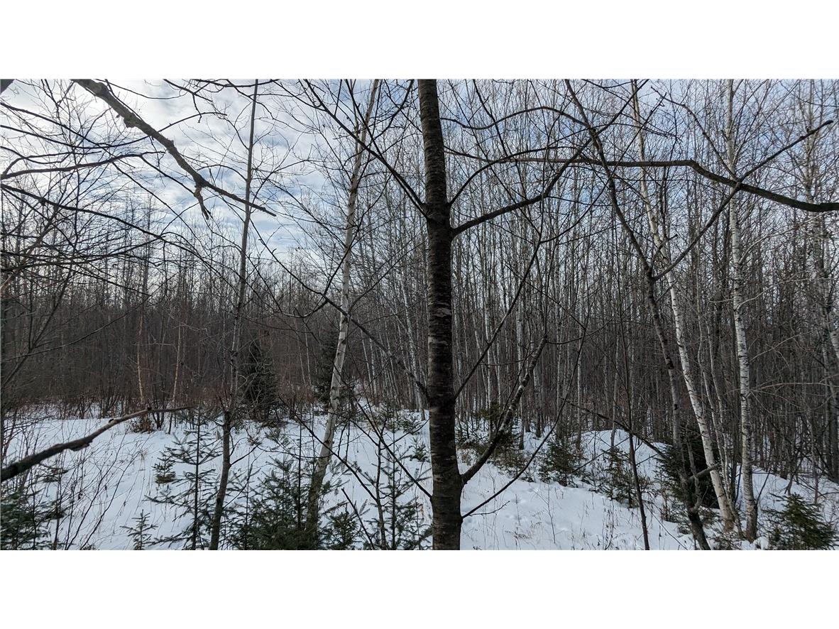 Lot 0 N County Highway W Winter WI 54896 1588452 image7