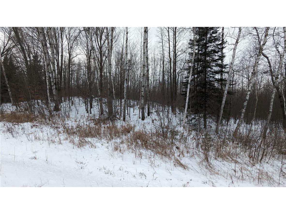 Lot 0 N County Highway W Winter WI 54896 1588452 image8