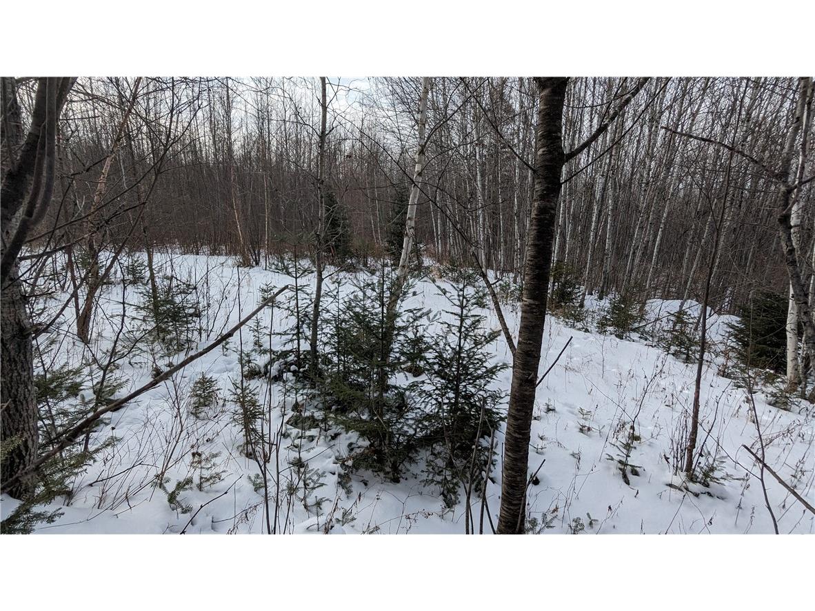 Lot 0 N County Highway W Winter WI 54896 1588452 image9