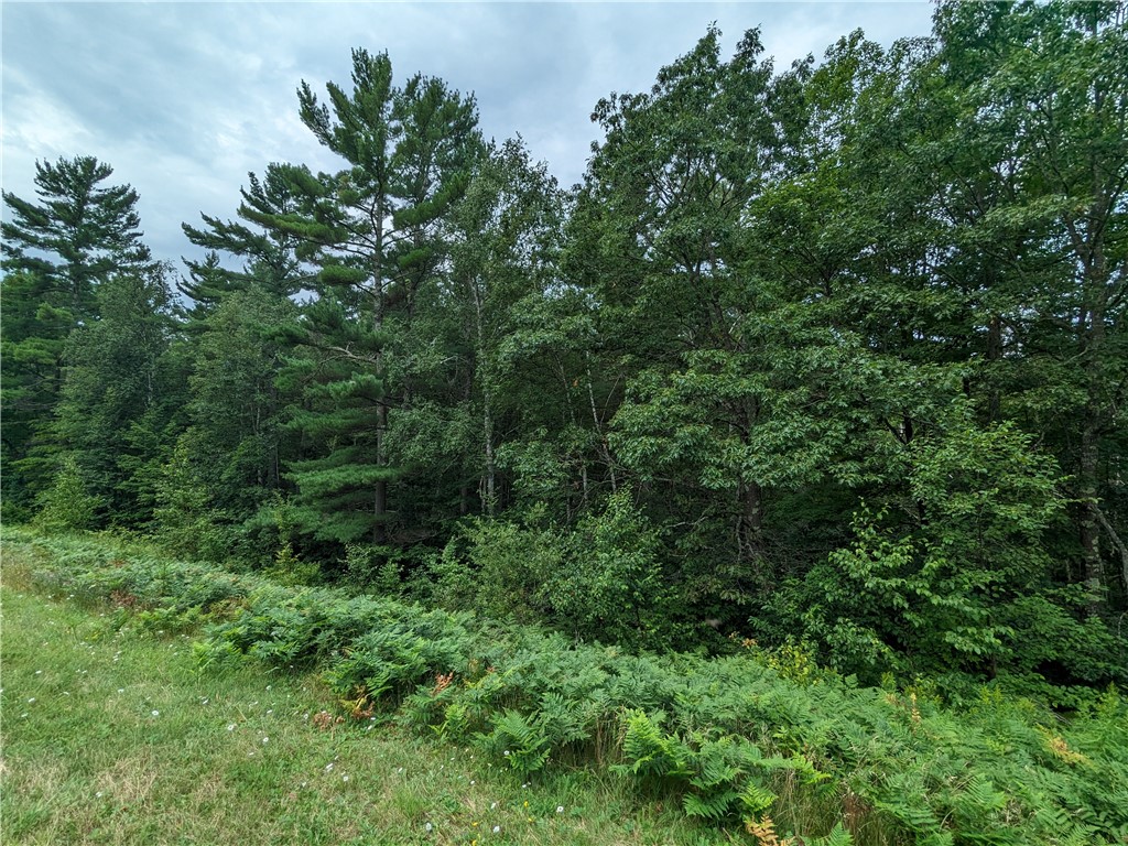 Lot 0 N Us Highway 63 Cable WI 54821 - Namekagon 1584410 image1